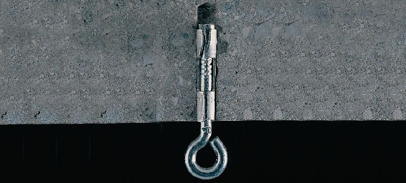 HA 8 Eyebolt anchor Economical hook/ring anchor for suspended fastenings in concrete Applications 1