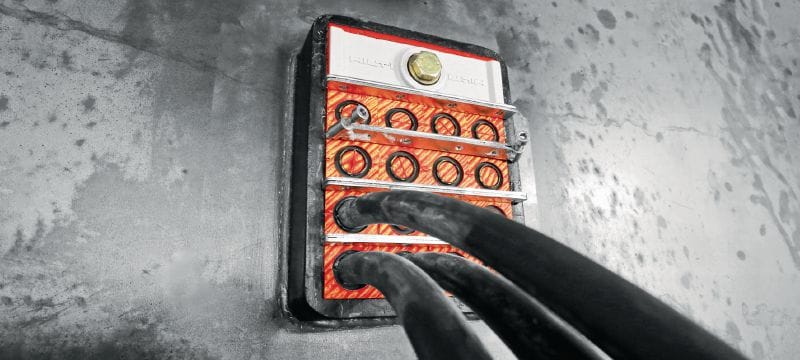 CFS-T EMC cable modules Modules with electromagnetic shielding properties to seal cables/pipes within a transit frame Applications 1
